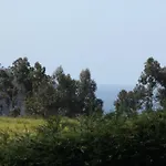 La Xana *