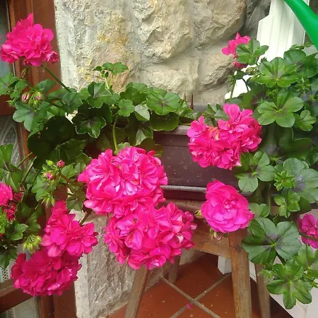 La Xana * Ribadesella