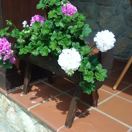 컨트리하우스 La Xana 리바데세야