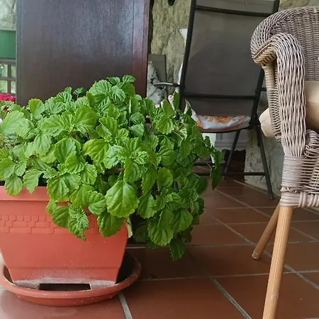 La Xana Venkovský dům *