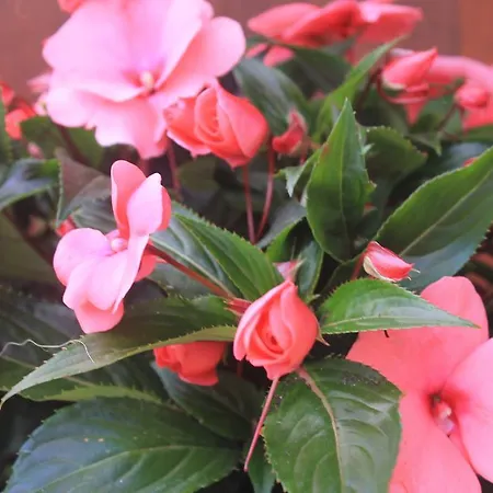 La Xana カントリーハウス *